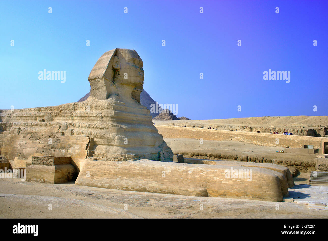 Egyptian sphynx cat hi-res stock photography and images - Alamy