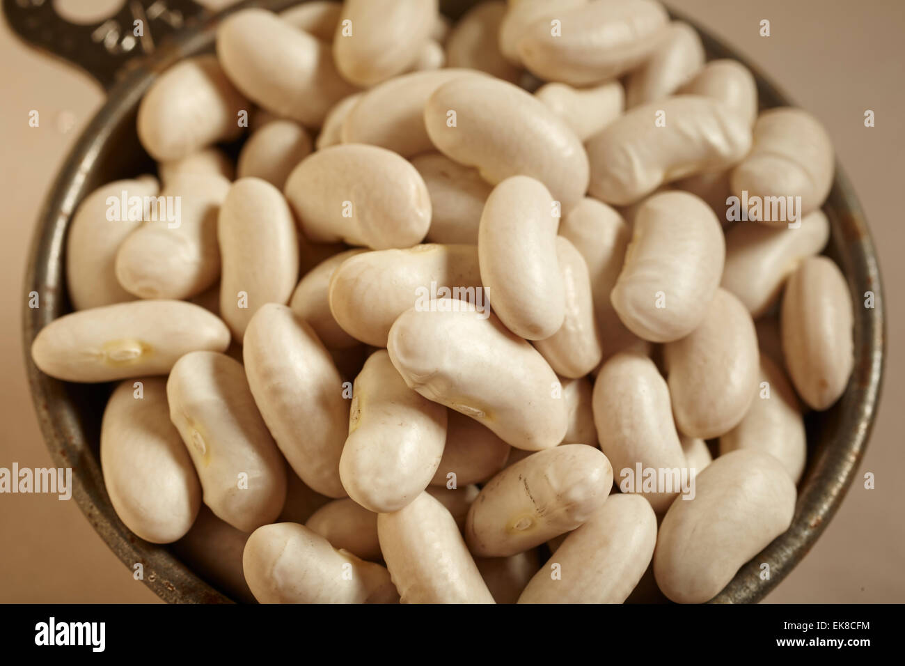 dry white kidney beans Stock Photo Alamy