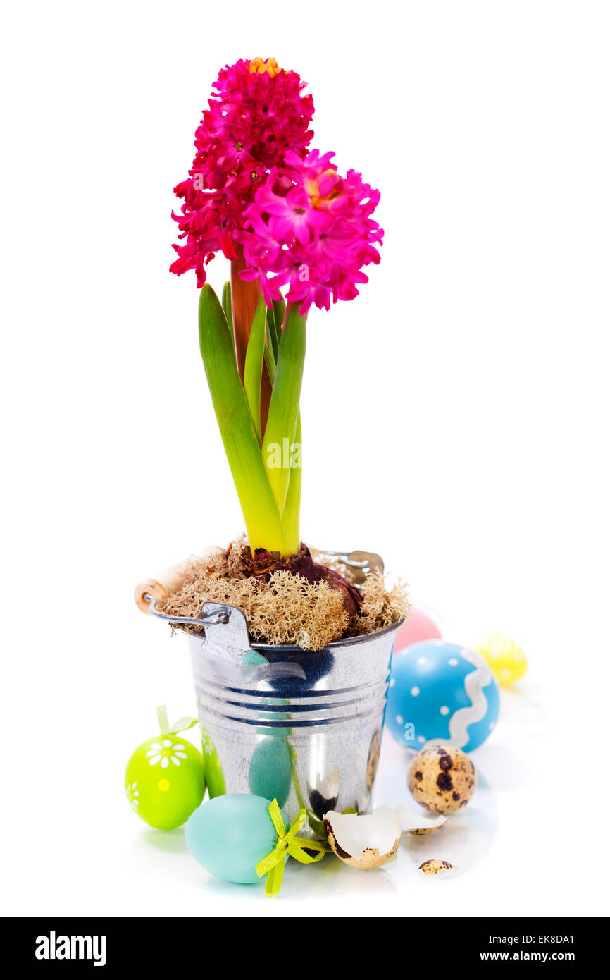 easter composition with eggs and spring flowers Stock Photo - Alamy