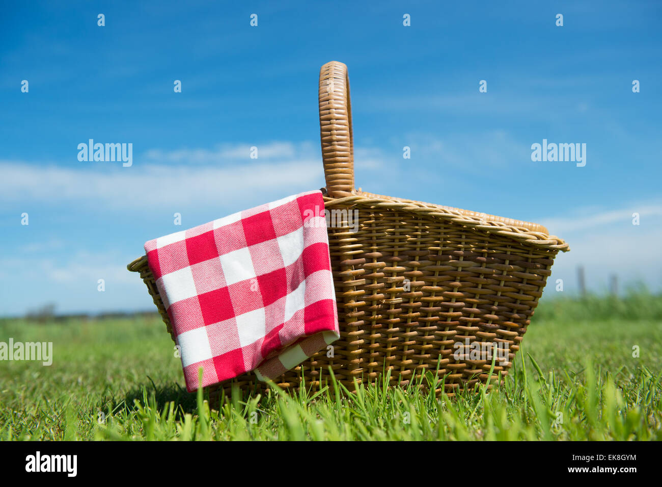 Picnic basket in grass outdoor Stock Photo