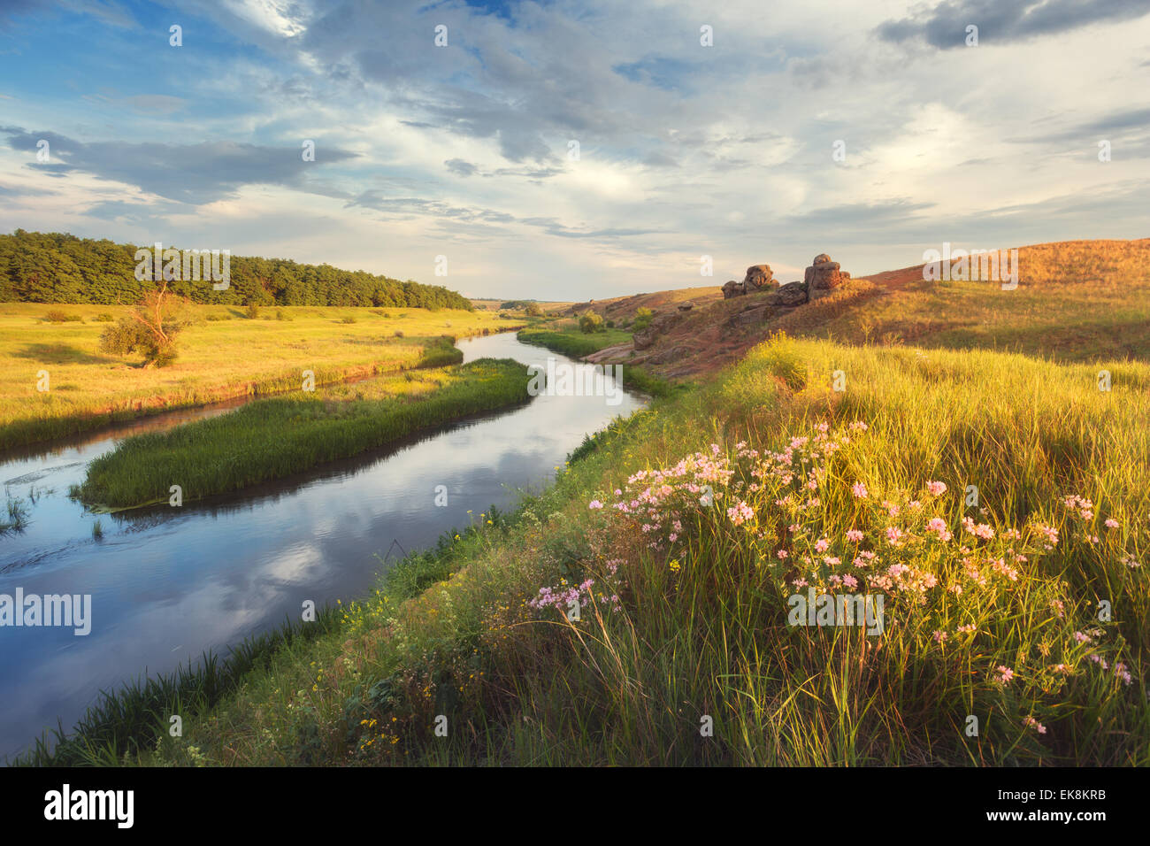 Beautiful summer sunset at the river with blue sky, clouds, yellow grass, flowers and water with reflection  (Ukraine) Stock Photo