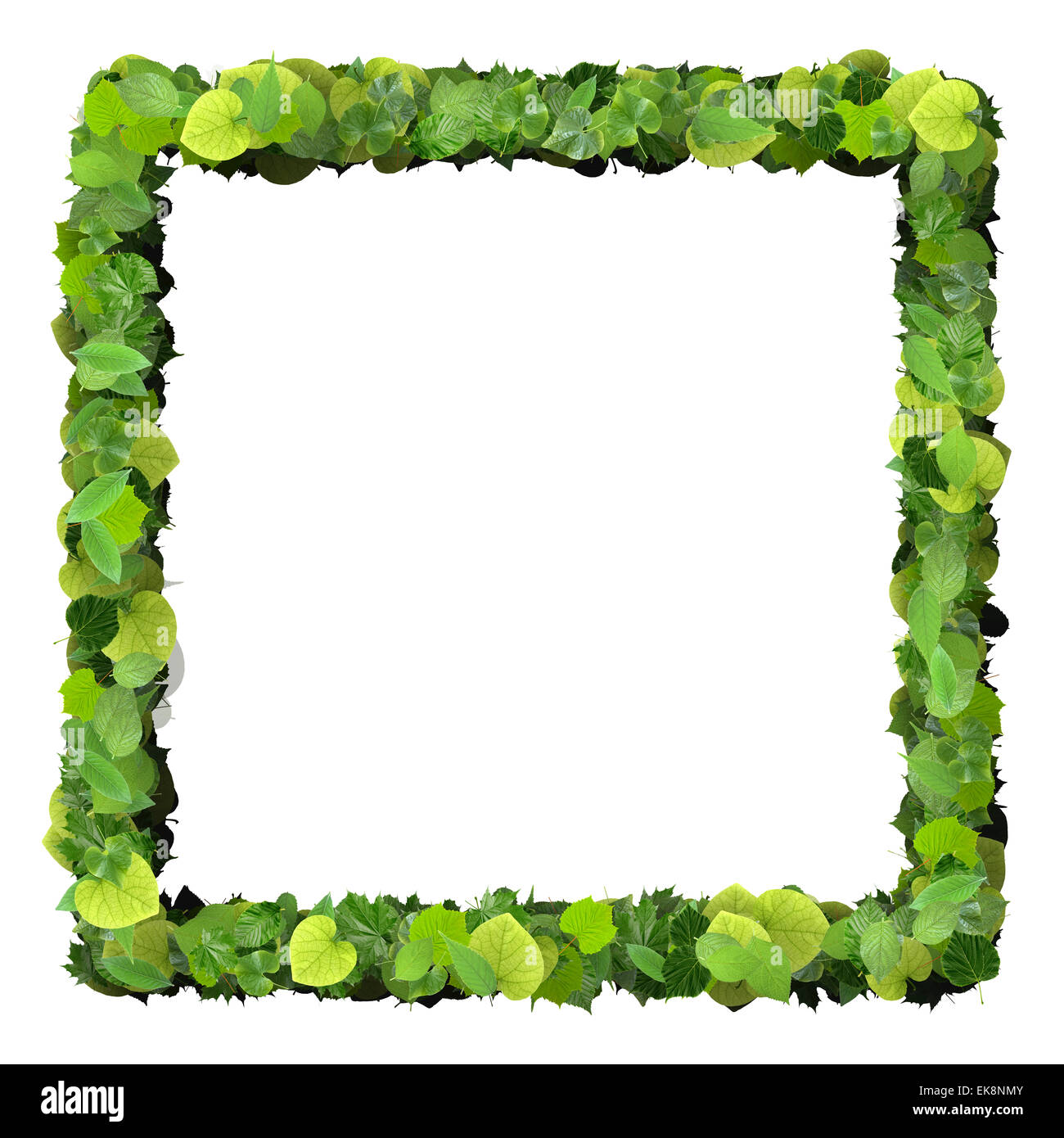 Grass lawn from wall Cut Out Stock Images & Pictures - Alamy