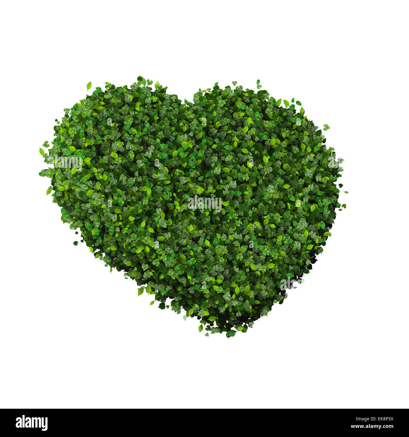 Heart made from green leaves isolated on white background. 3D render ...