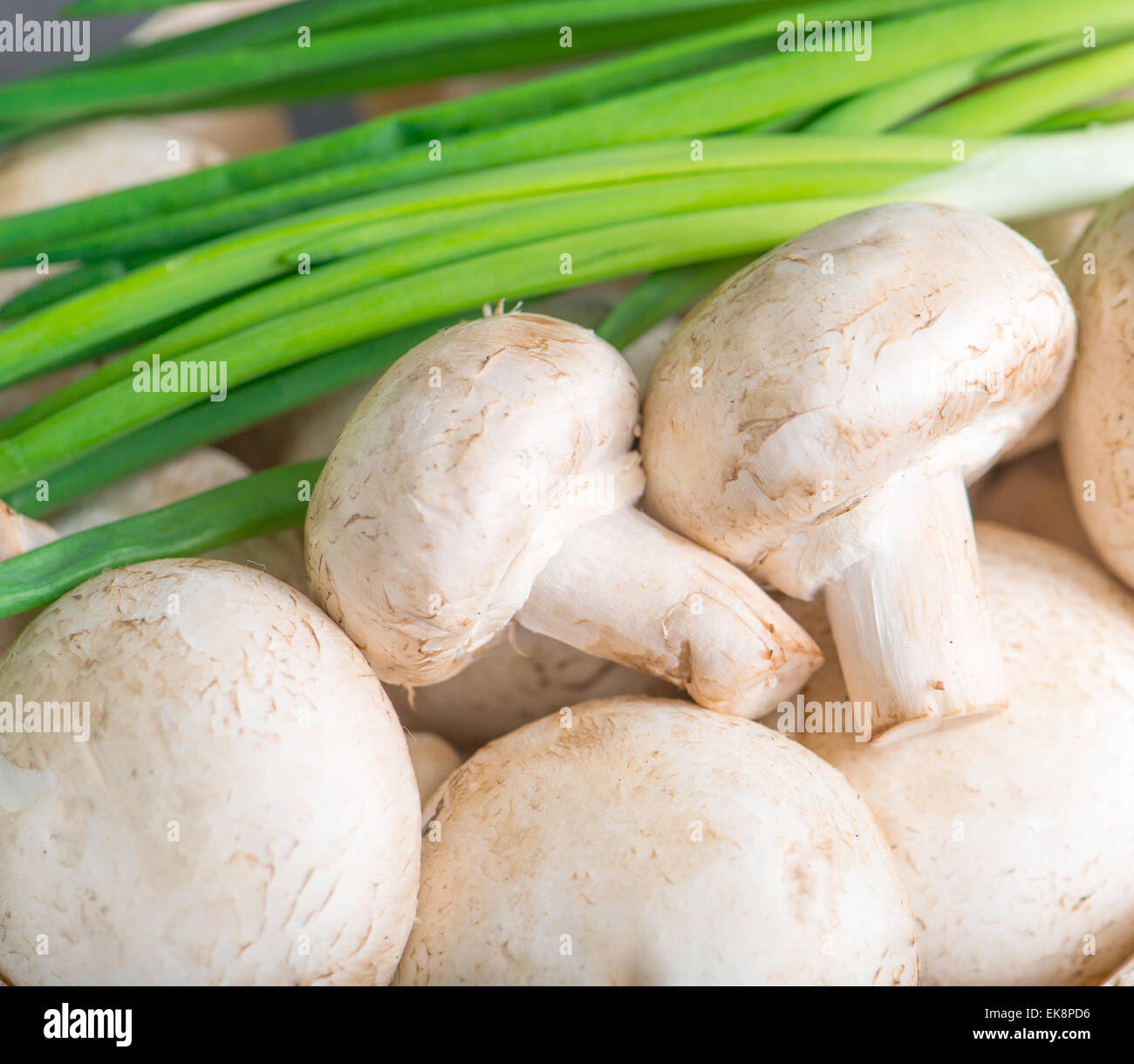 mushrooms and green onions Stock Photo Alamy