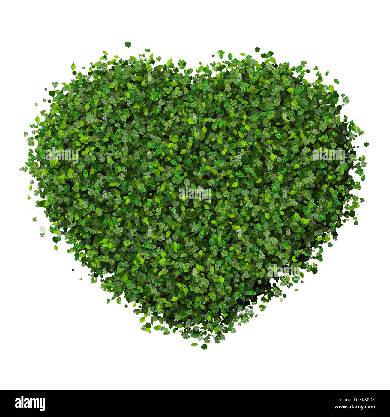 Heart made from green leaves isolated on white background. 3D render ...