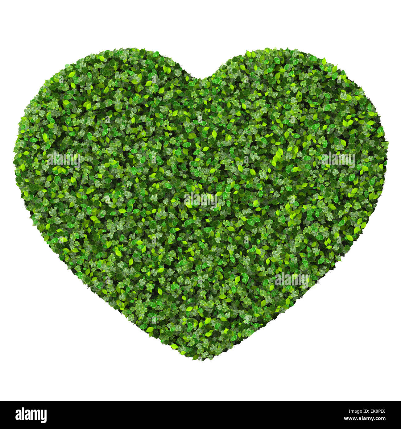 Heart made from green leaves isolated on white background. 3D render ...