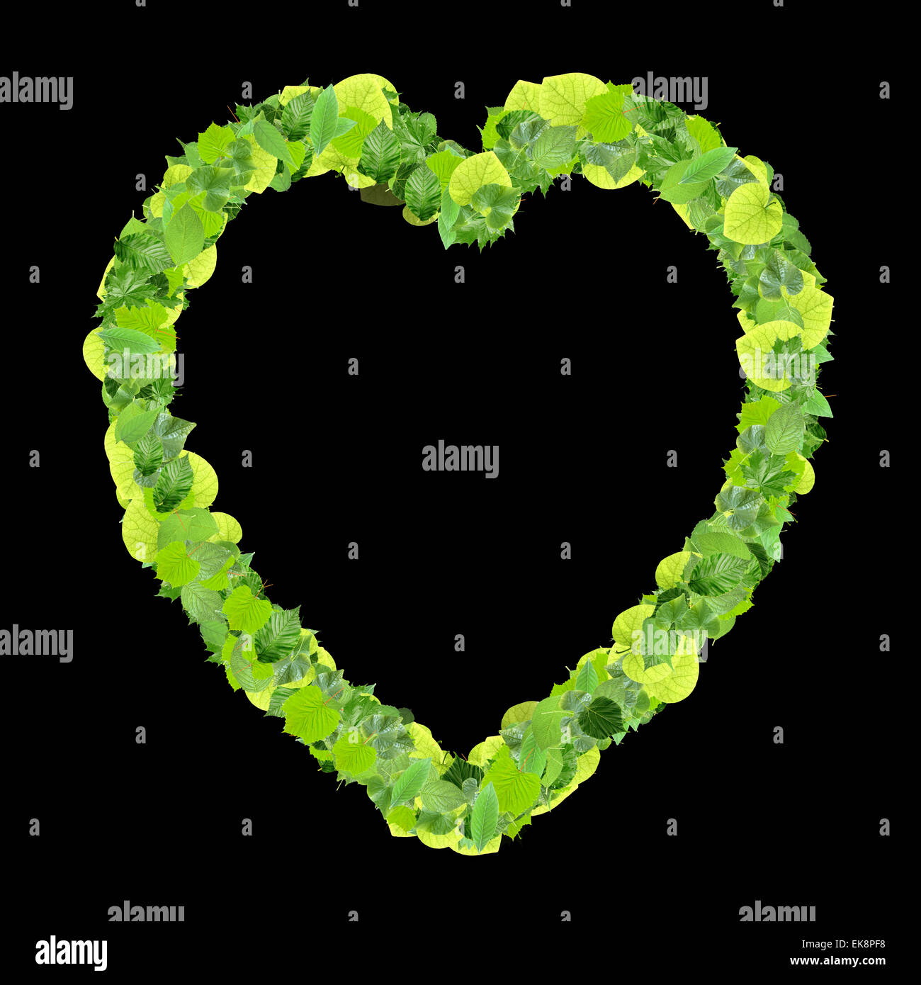 Heart made from green leaves isolated on white background. 3D render ...