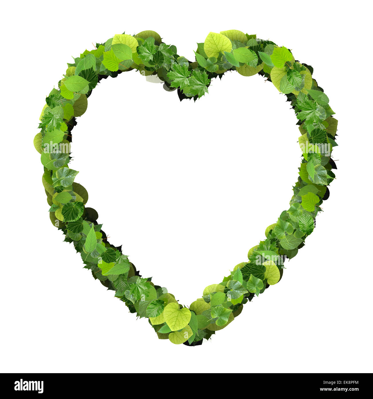 Heart made from green leaves isolated on white background. 3D render ...