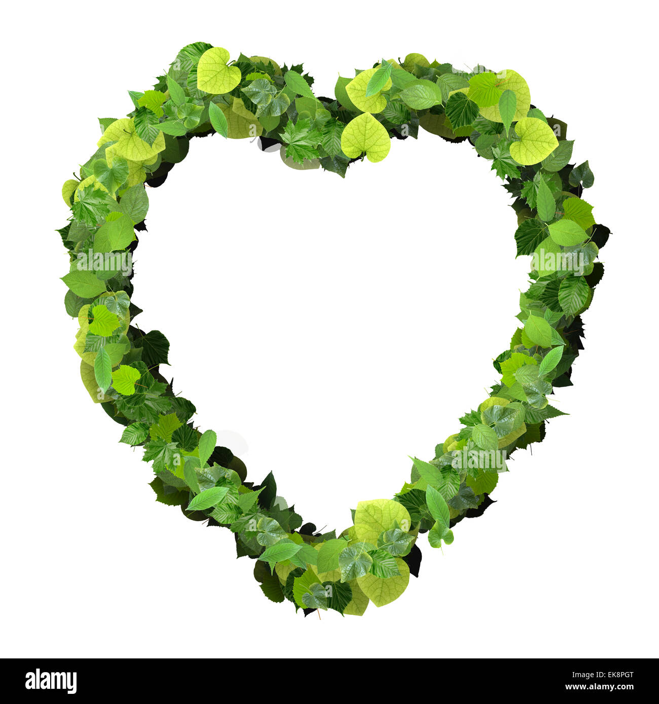 Heart made from green leaves isolated on white background. 3D render ...