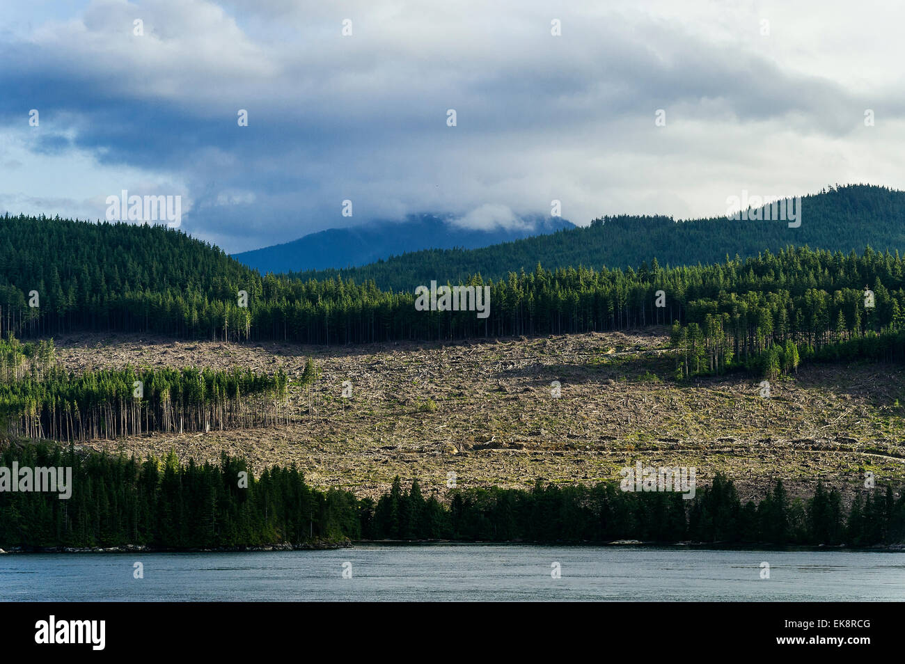 Clearcutting along the Campell River, British Columbia, Canada Stock Photo