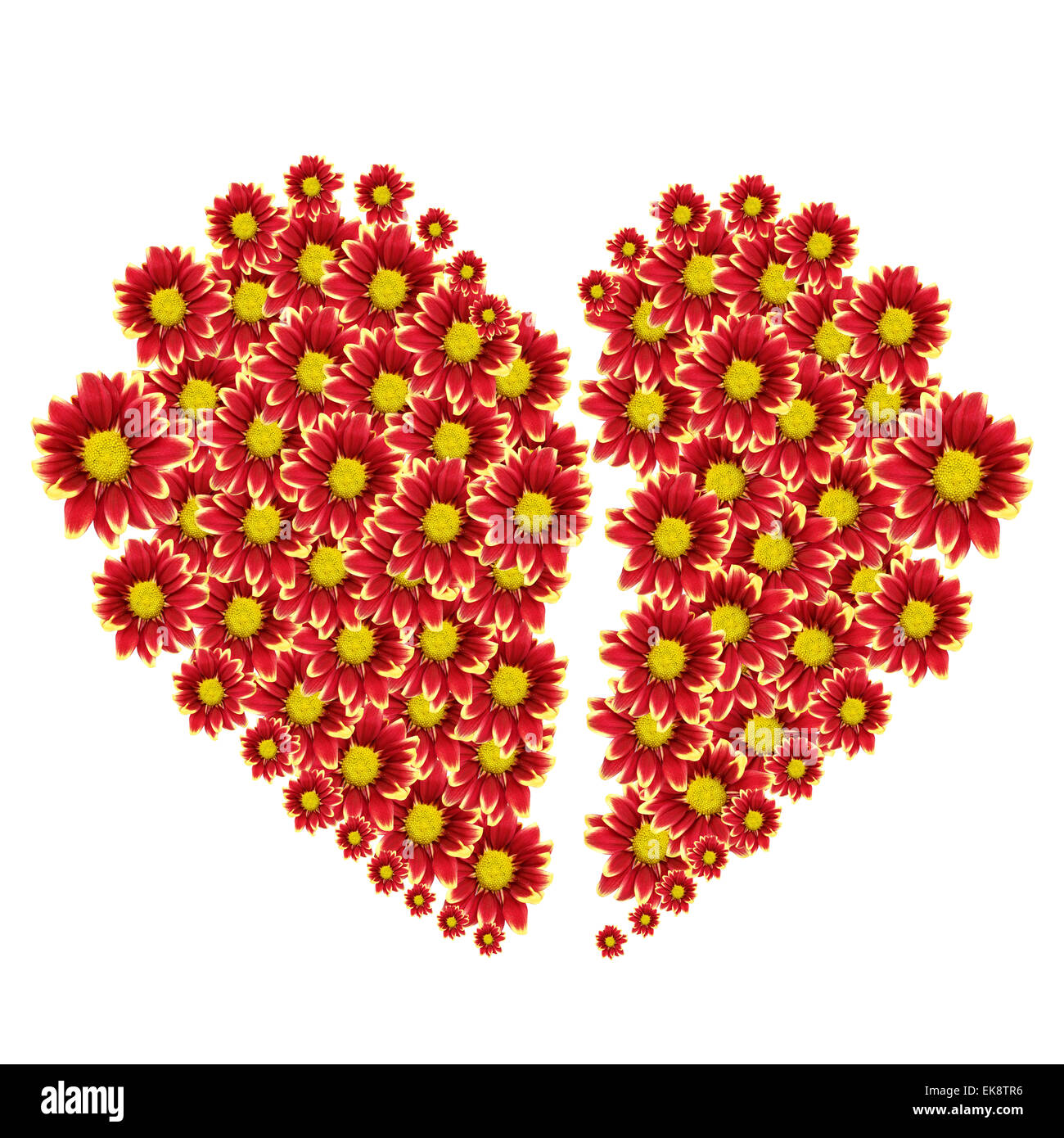 Beautiful heart of red flower isolated on white background Stock Photo ...