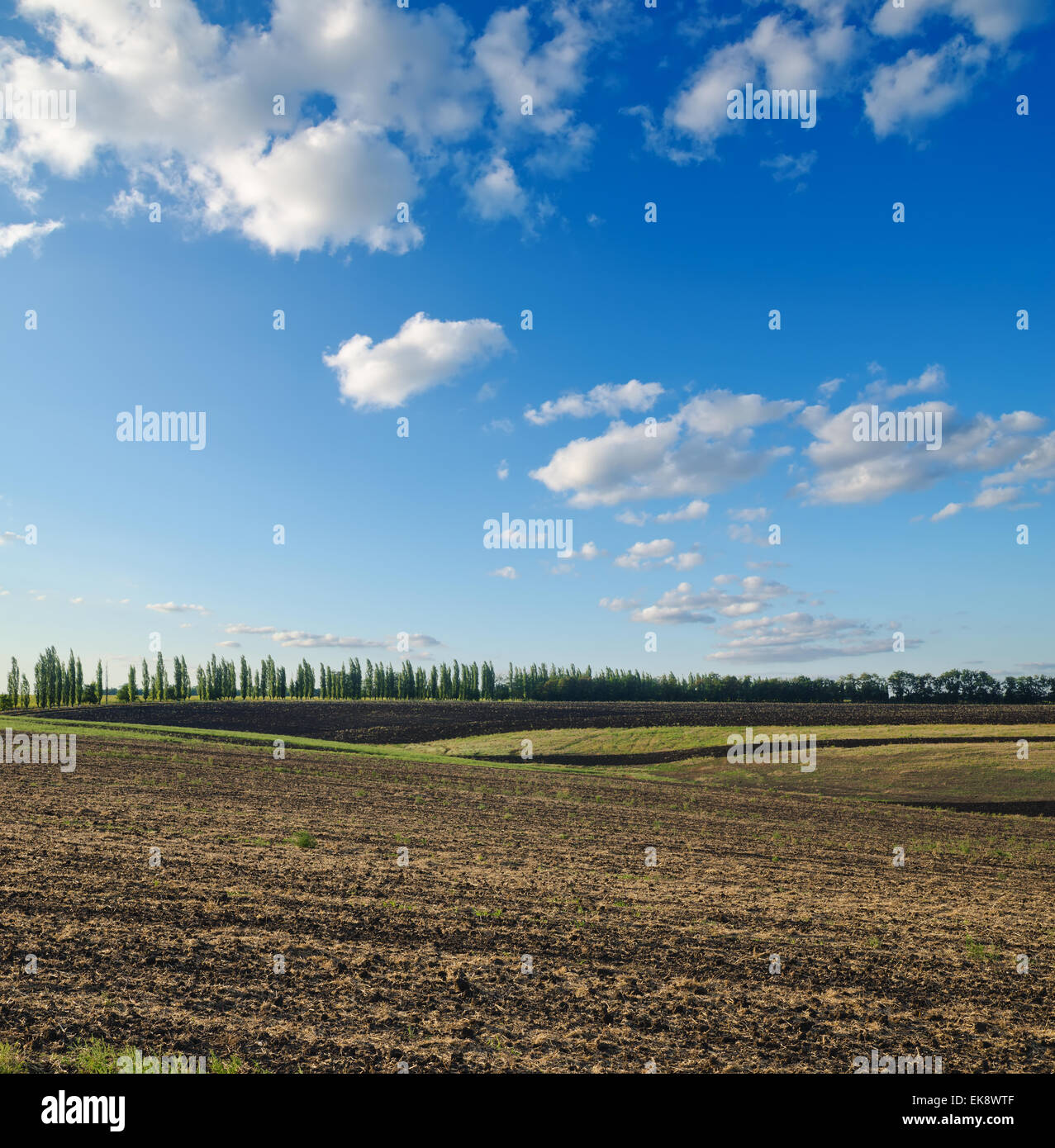 black ploughed field under blue sky Stock Photo - Alamy
