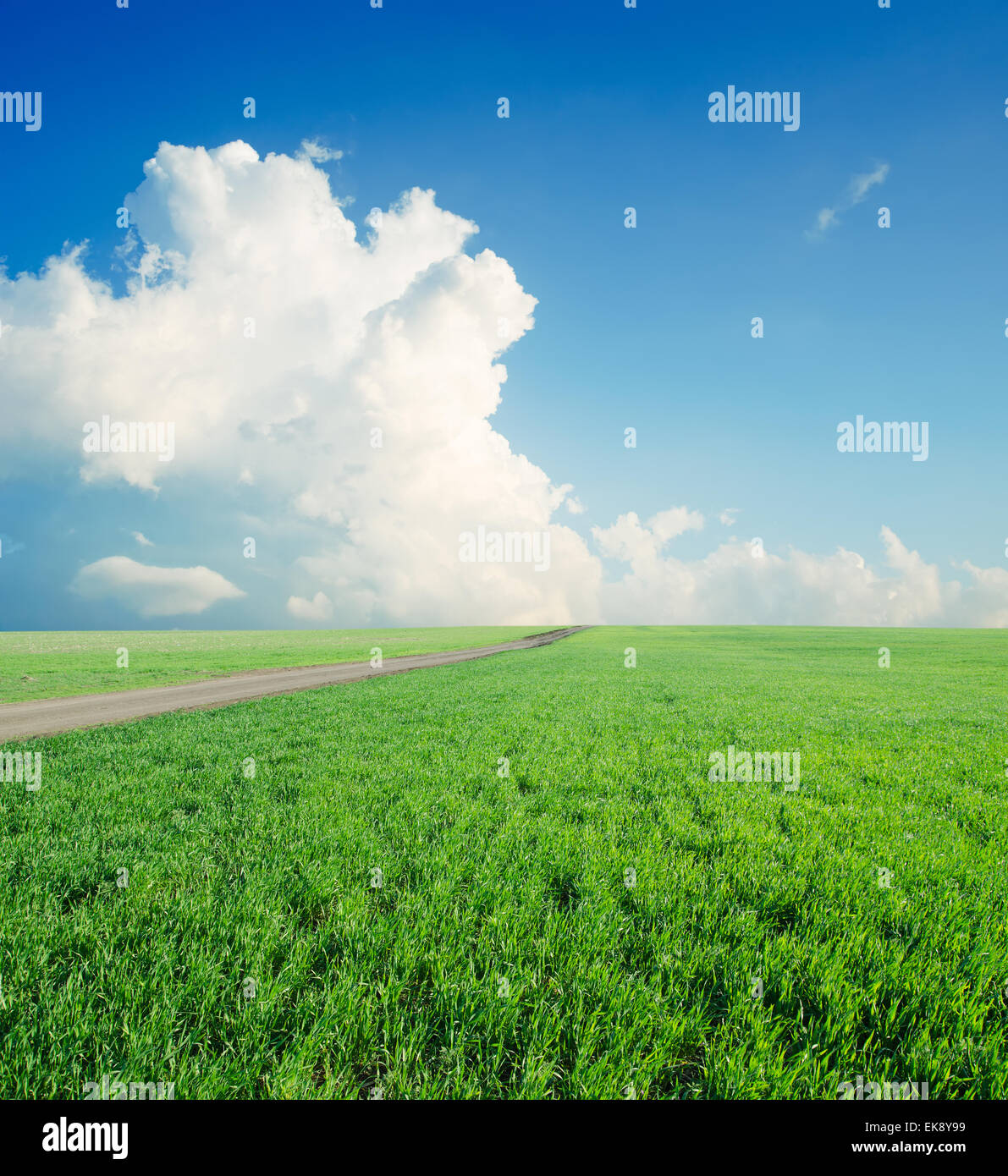 summer landscape with green field and blue cloudy sky Stock Photo - Alamy
