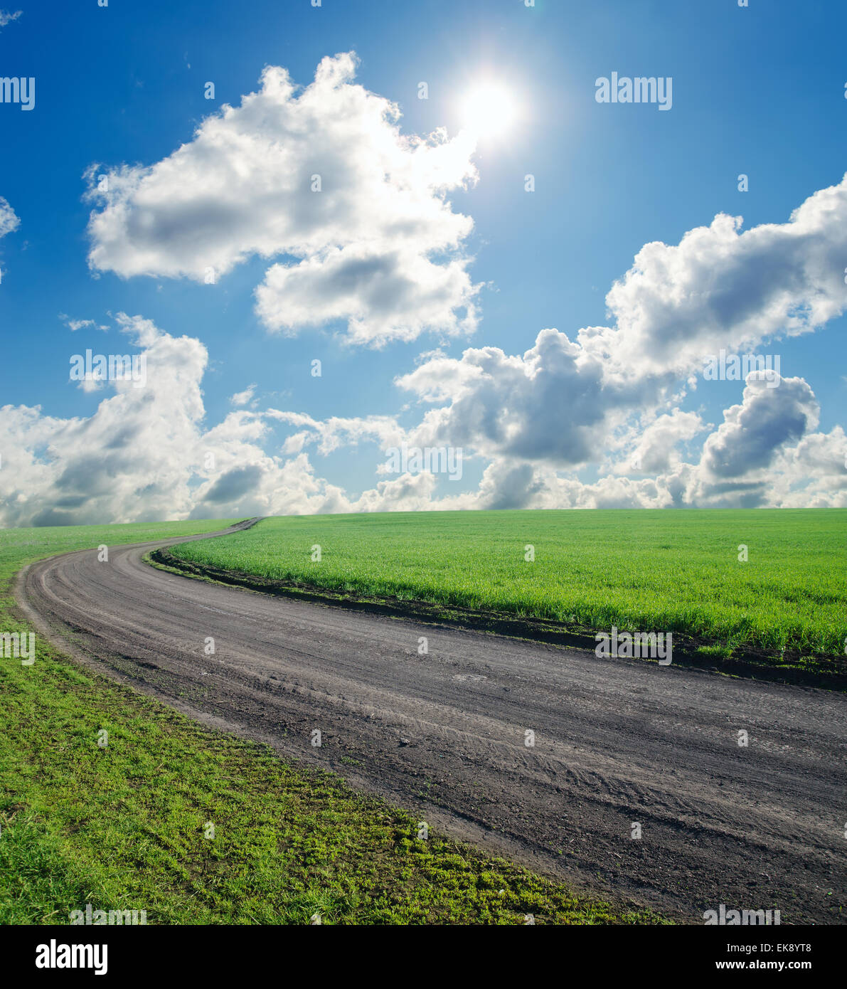 summer landscape with rural road, green field and blue cloudy sky with ...