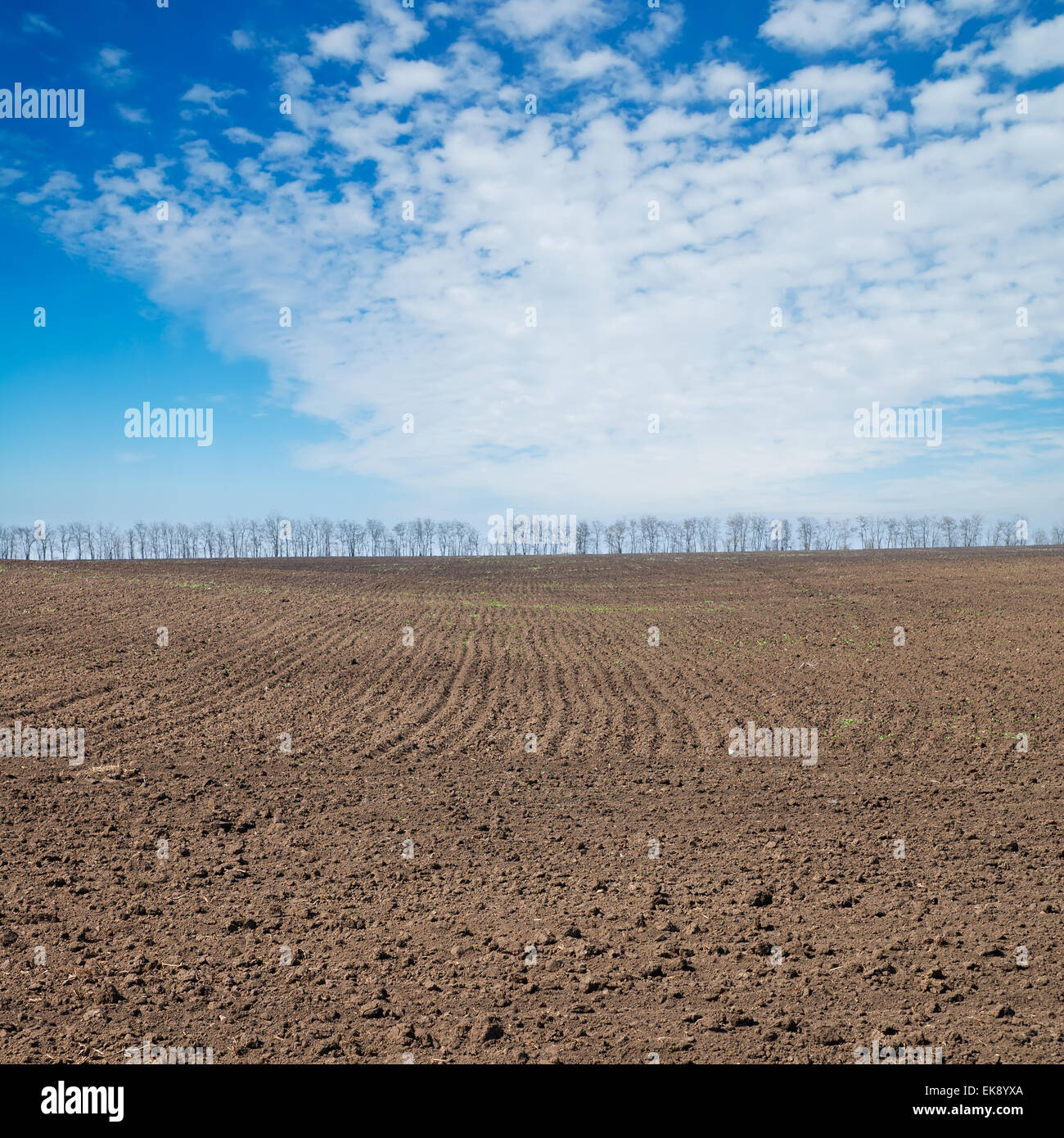 black ploughed field under deep blue sky Stock Photo - Alamy