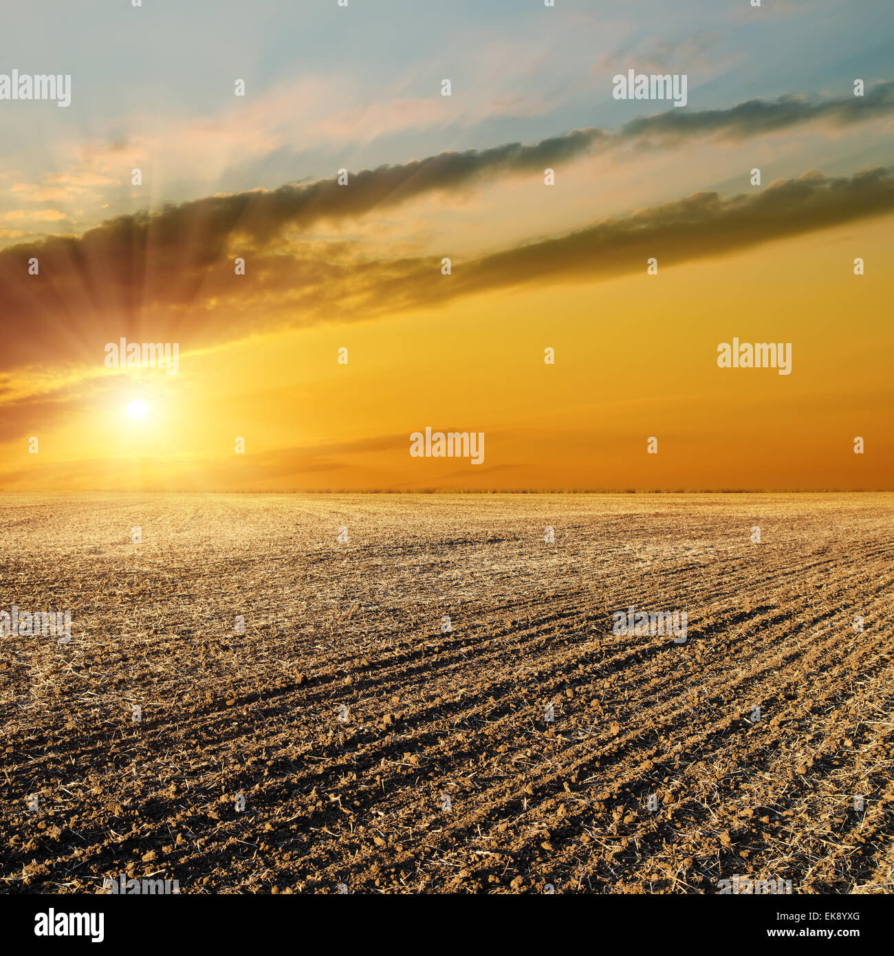 sunset over black field after harvesting Stock Photo - Alamy
