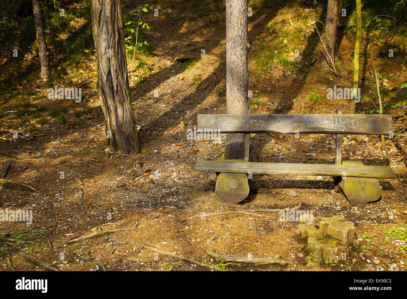 lone wooden bench in the woods Stock Photo Alamy