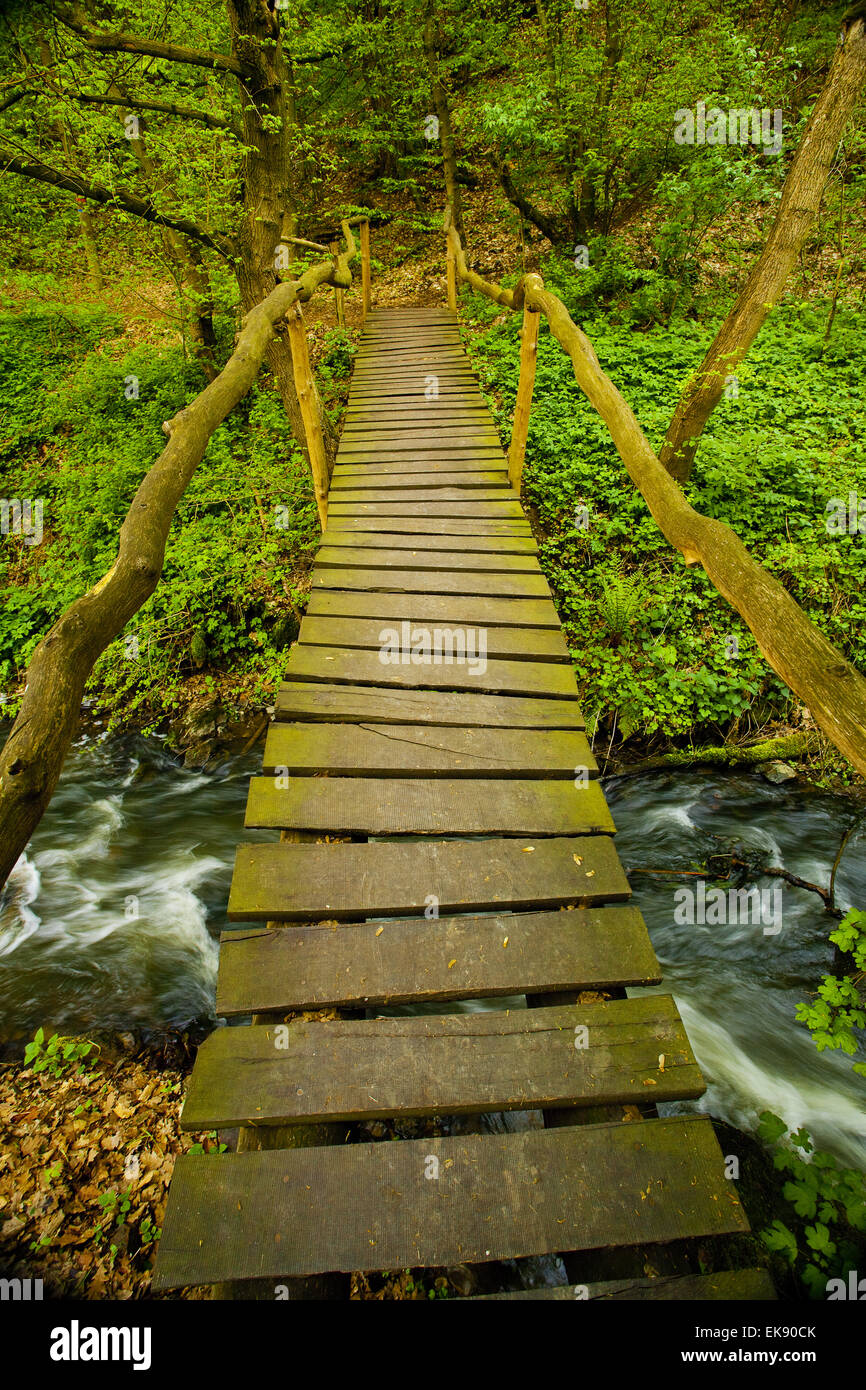 wooden bridge over a mountain stream in the woods Stock Photo - Alamy