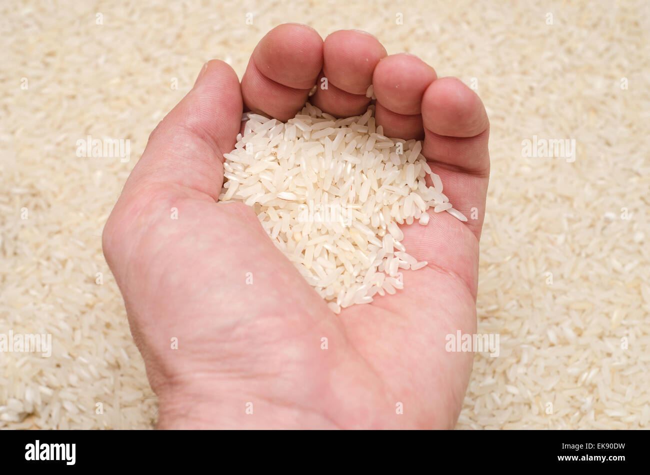 rice in hand Stock Photo - Alamy