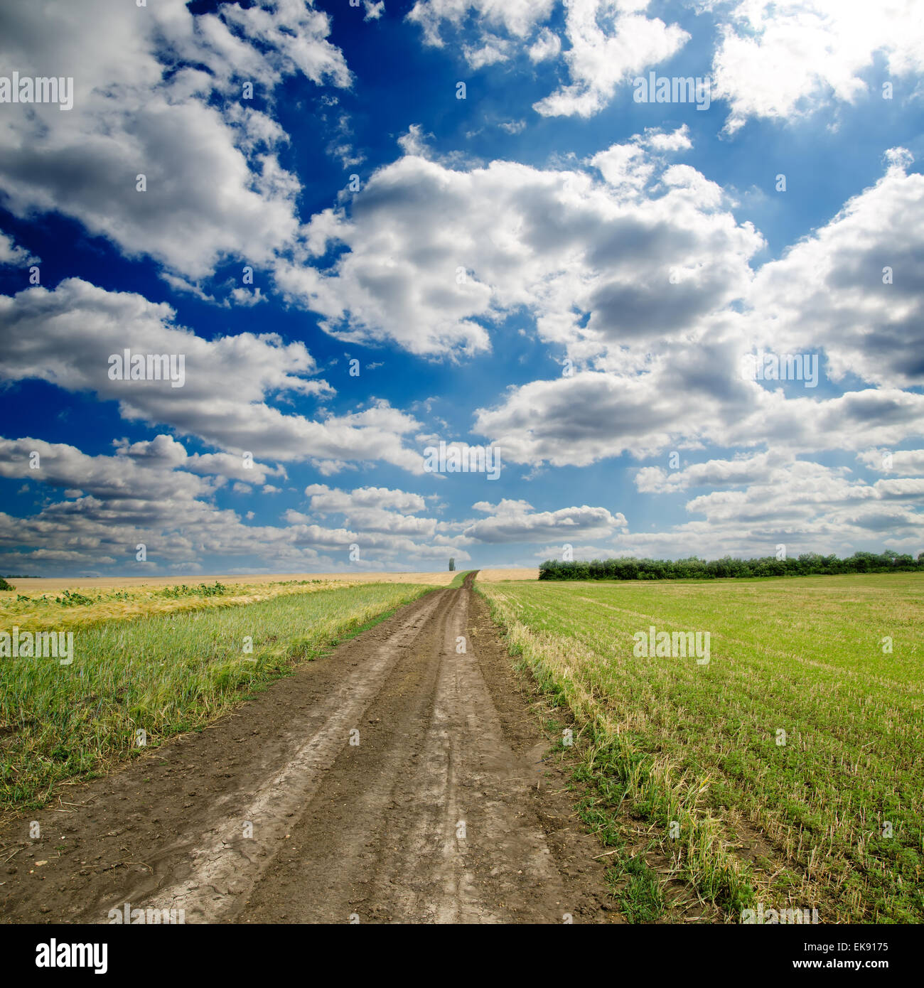 rural road under dramatic sky Stock Photo - Alamy