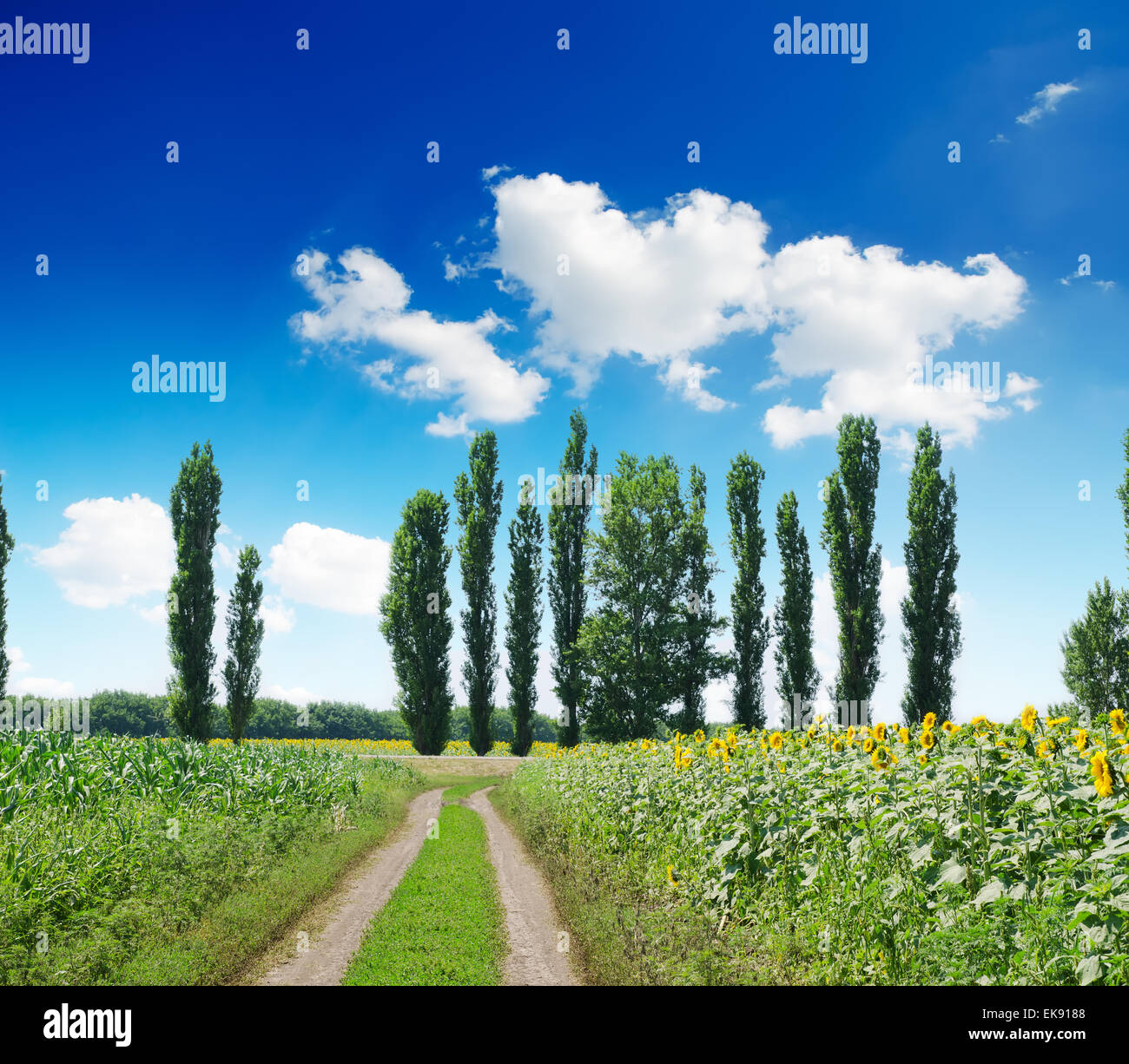 rural landscape with road under deep blue cloudy sky Stock Photo - Alamy