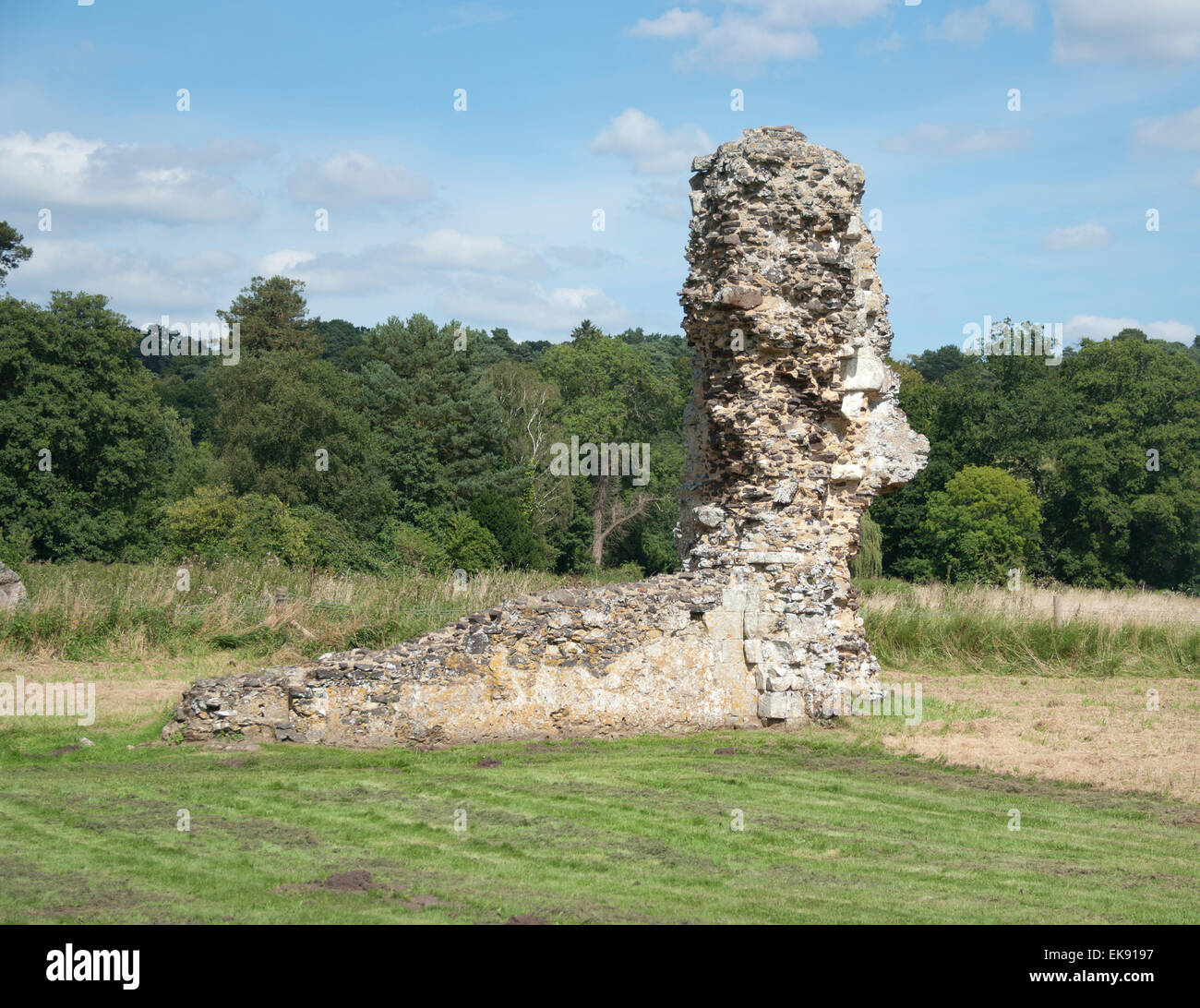 Waverley Abbey Ruin, the first Cistercain Abbey in England, Surrey, Stock Photo