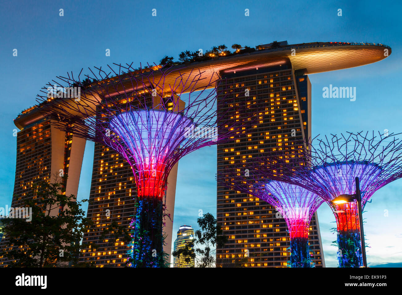 Gardens by the Bay and Marina Bay Sands Hotel at dusk. Singapore, Asia. Stock Photo