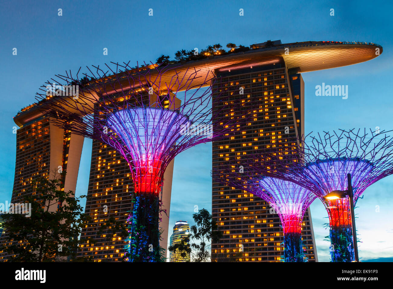 Gardens By The Bay And Marina Bay Sands Hotel At Dusk Singapore Asia Gardens By The Bay And Marina Bay Sands Hotel At Dusk Singapore Asia
