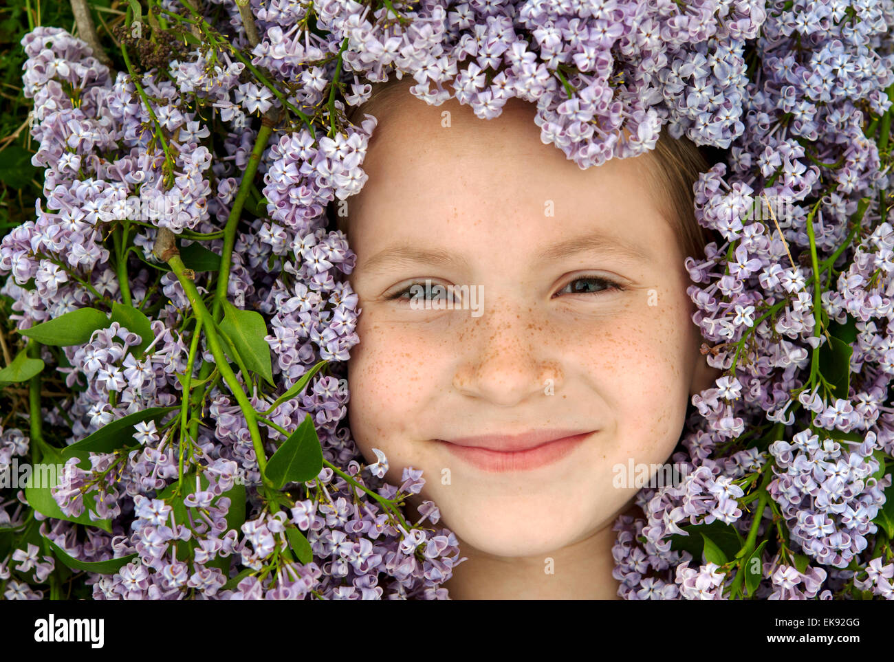 Pretty girl face surrounded by Lilac flowers Stock Photo