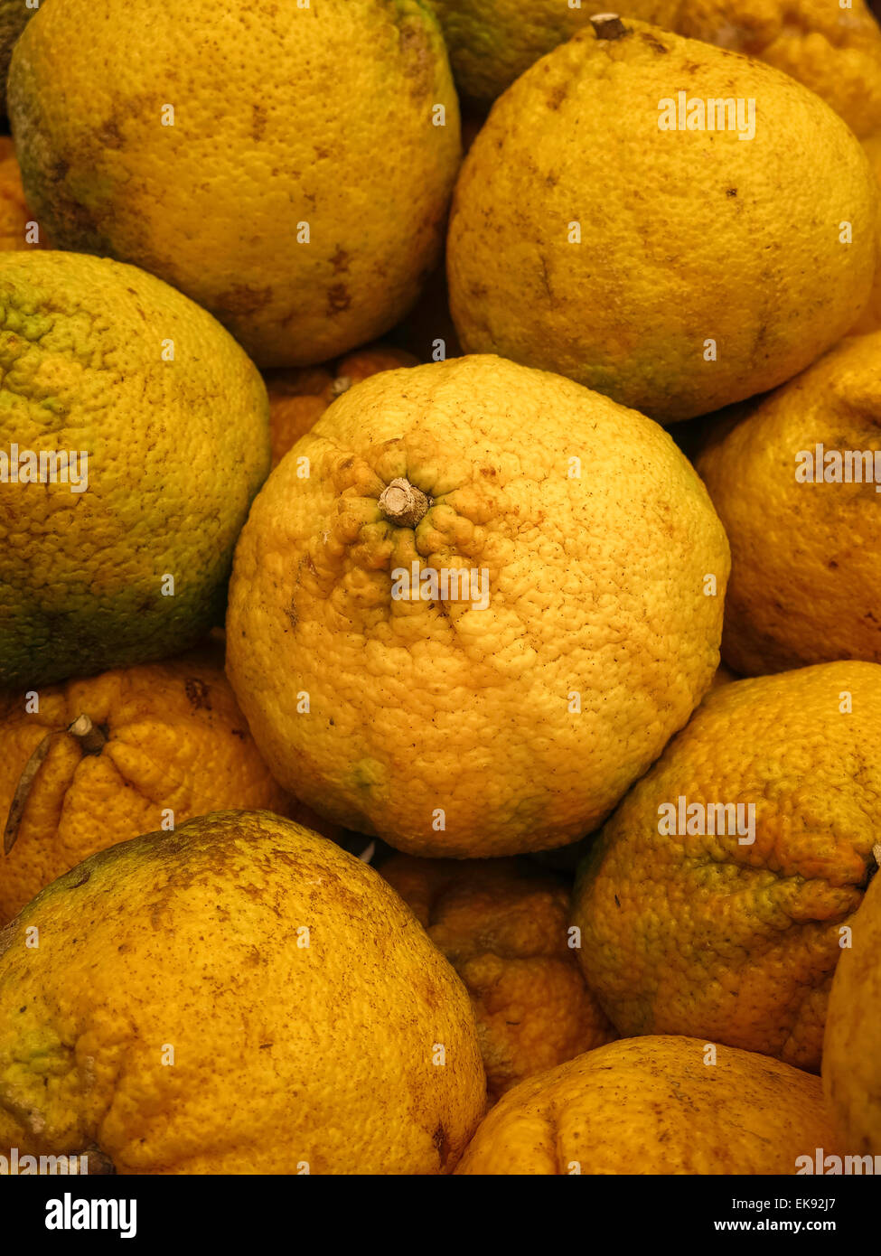 Unique Jamaican Grapefruit, Produce Section, Fairway Super Market, New York City, USA Stock Photo