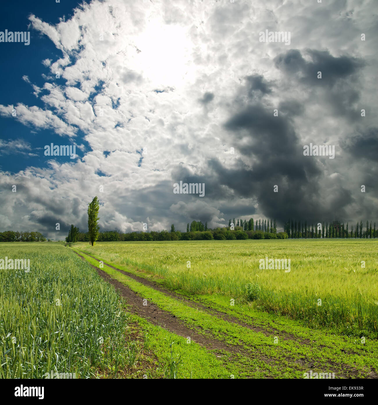rural road under dramatic sky Stock Photo - Alamy