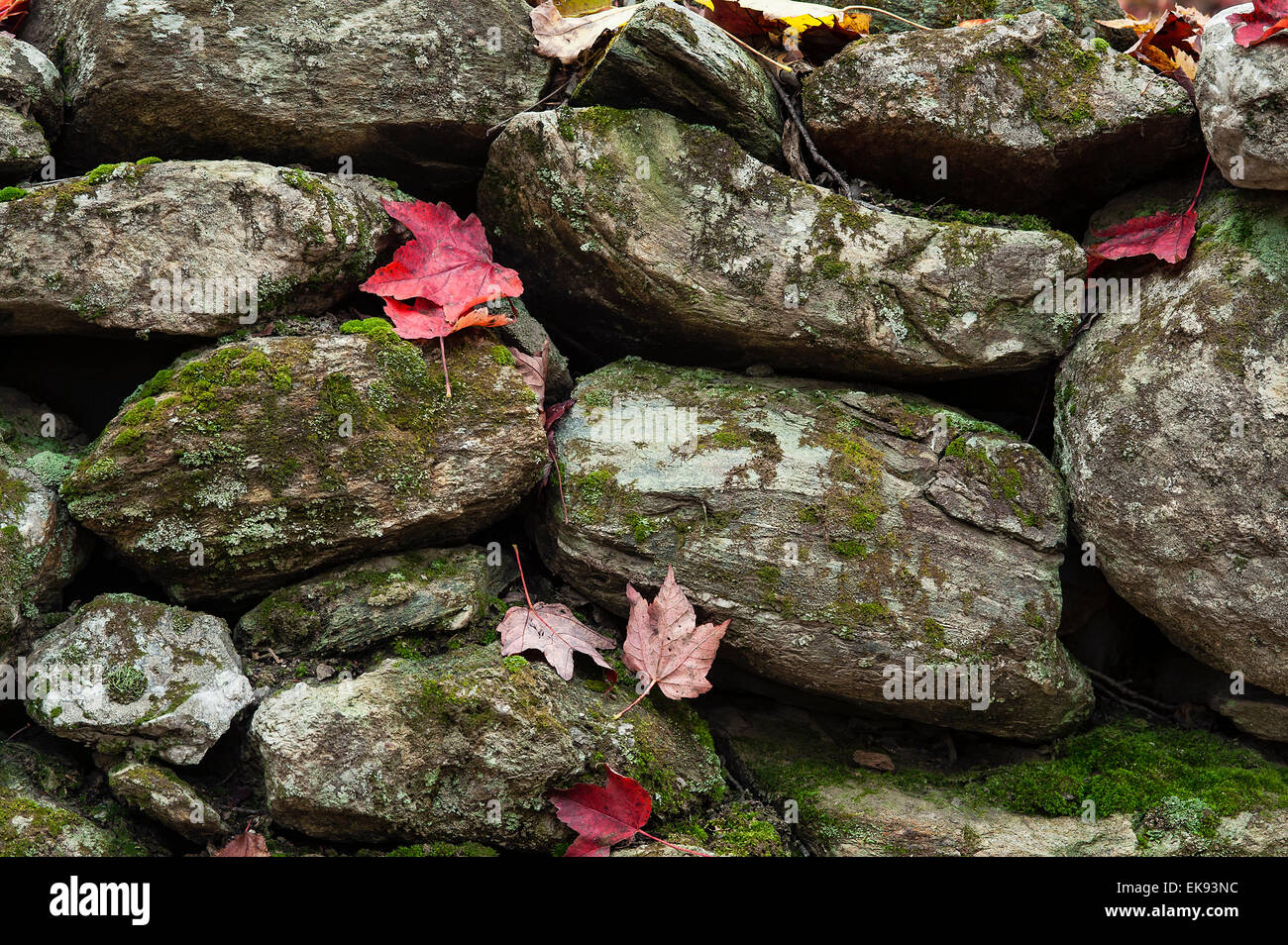 Stone fence hi-res stock photography and images - Alamy