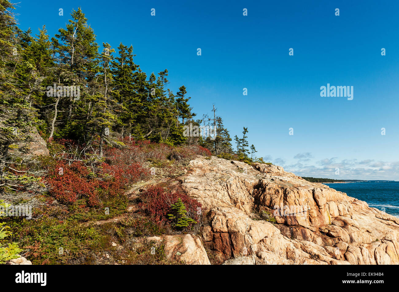 Rocky coastline, Acadia National Park, Mount Desert Island, Maine, USA Stock Photo