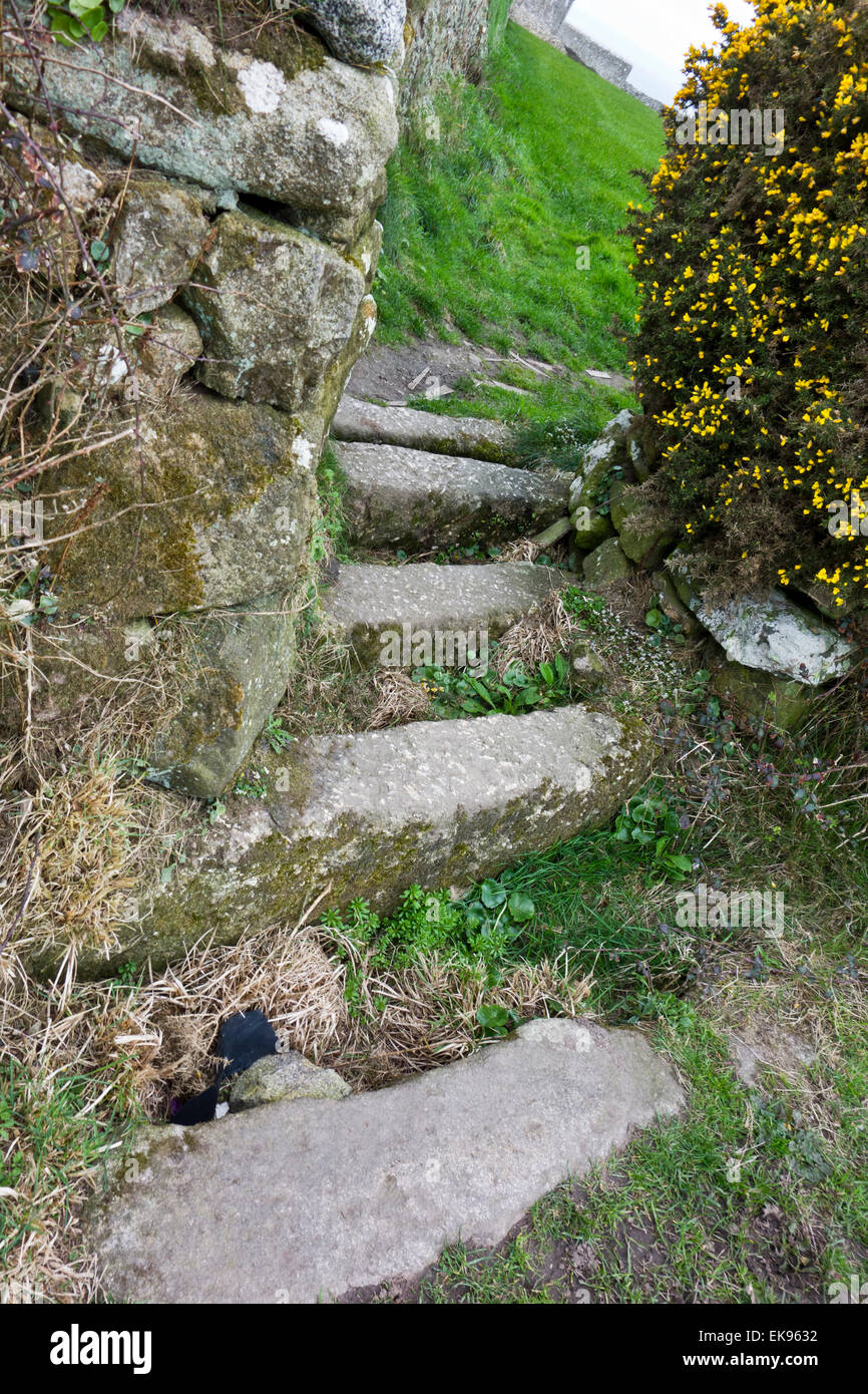 stone cattle grid on footpath St Just Cornwall Stock Photo - Alamy