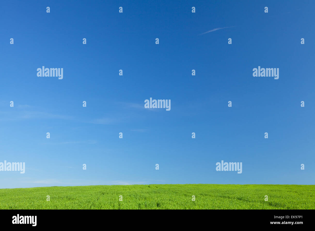 Green Grass and Blue Sky Stock Photo - Alamy