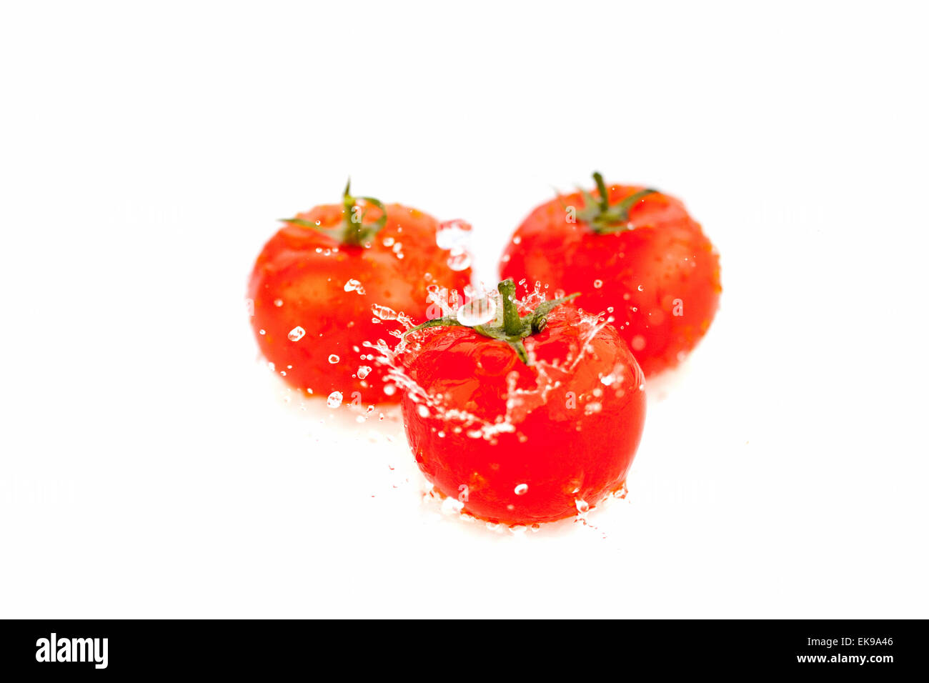 tomatoes with splashes of water isolated on white Stock Photo - Alamy