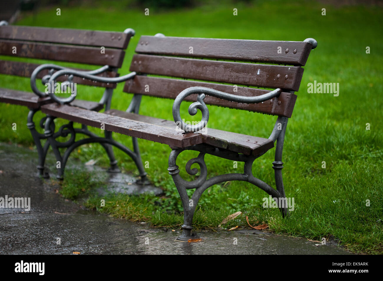 Lawn trees benches view hi-res stock photography and images - Alamy
