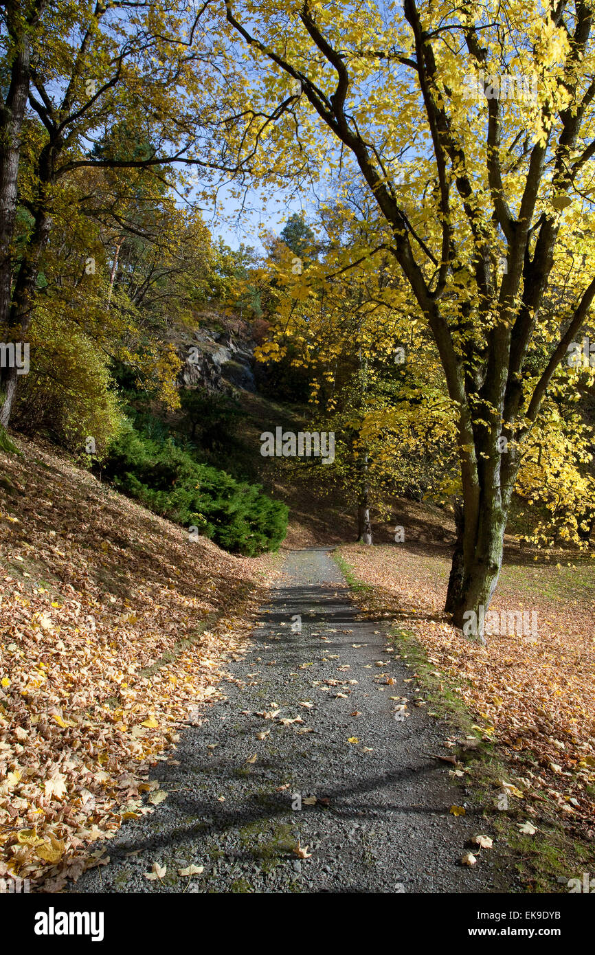 beautiful autumn landscape Stock Photo - Alamy