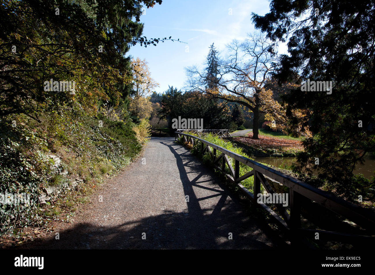 beautiful autumn landscape Stock Photo - Alamy