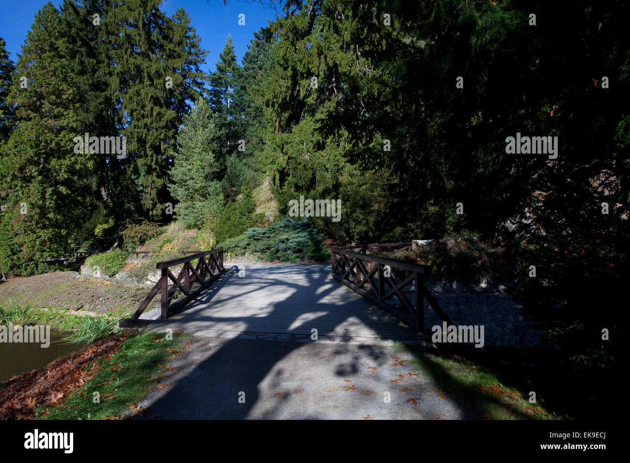 beautiful autumn landscape Stock Photo - Alamy