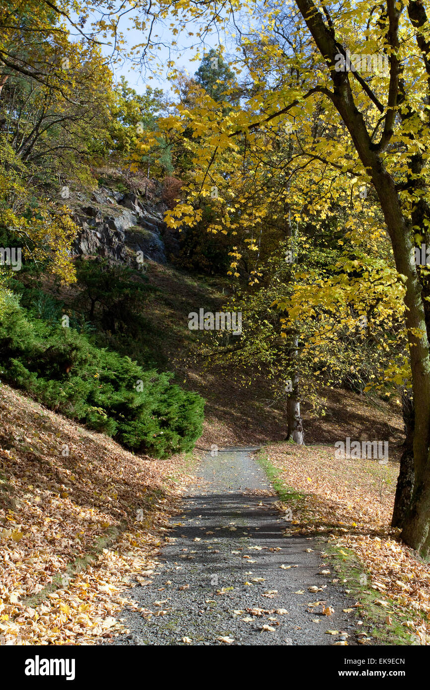 beautiful autumn landscape Stock Photo - Alamy