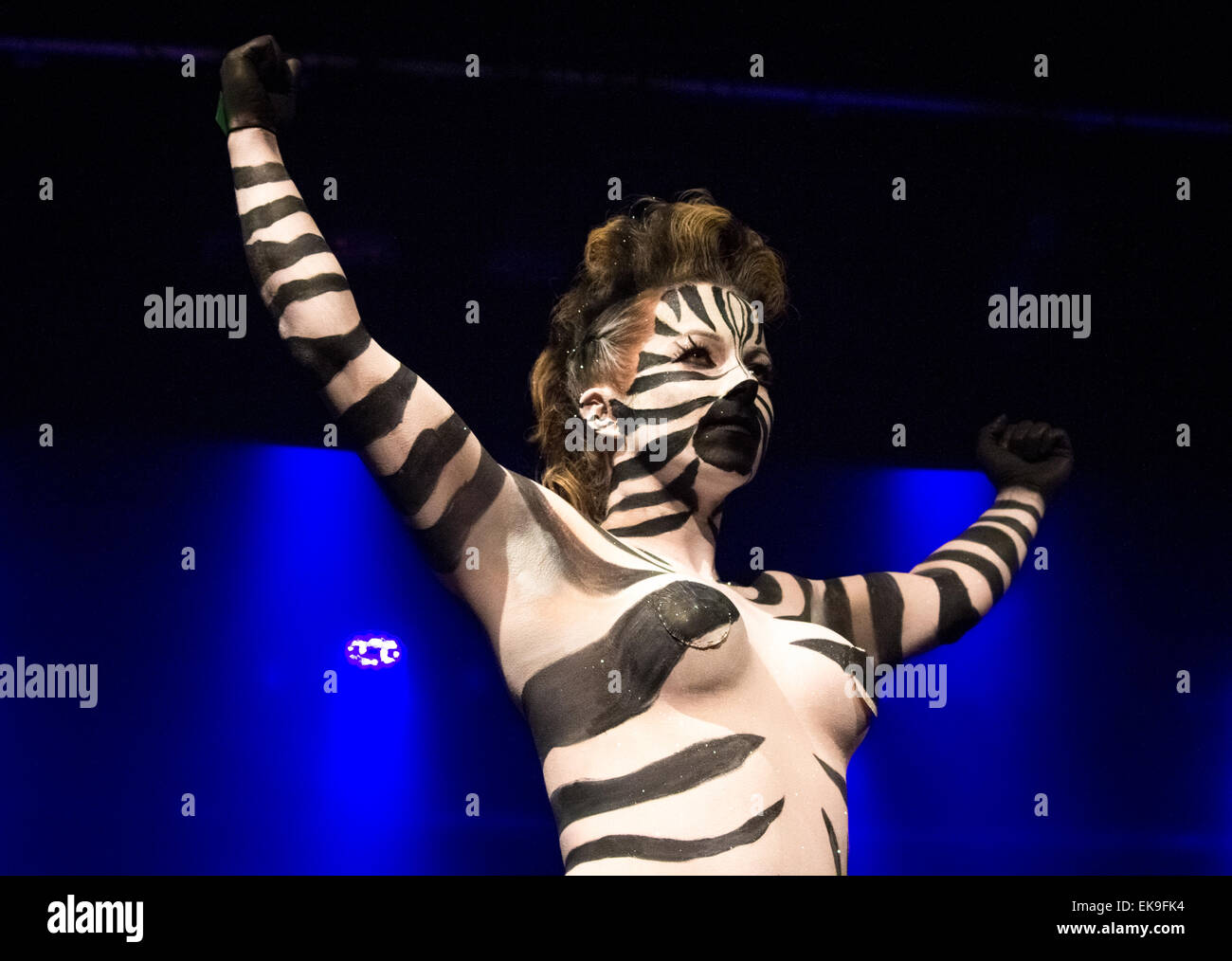 Female model in all over body paint in a zebra costume at a fashion show and on a catwalk. Stock Photo