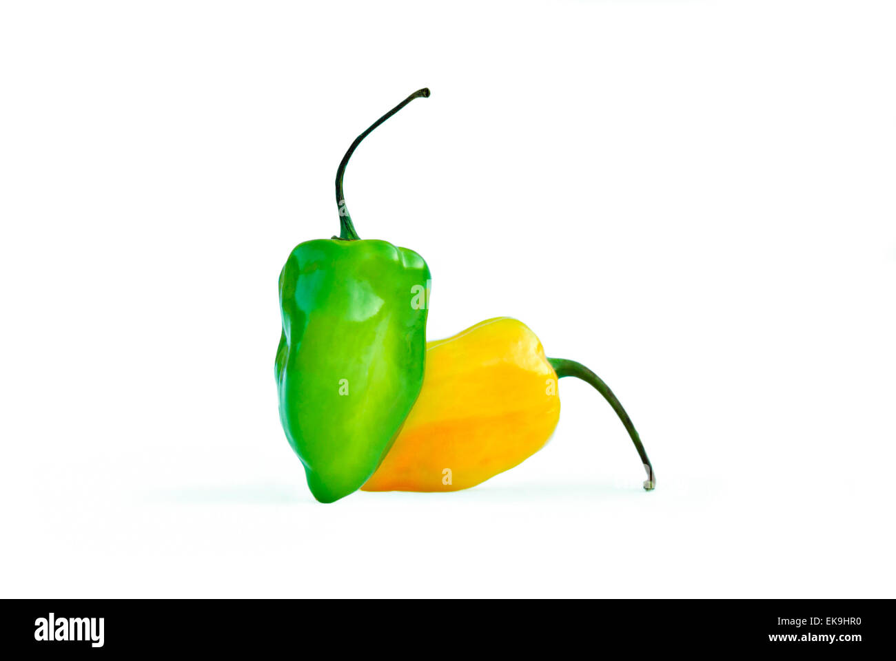 Habanero Chili Pepper Stock Photo Alamy