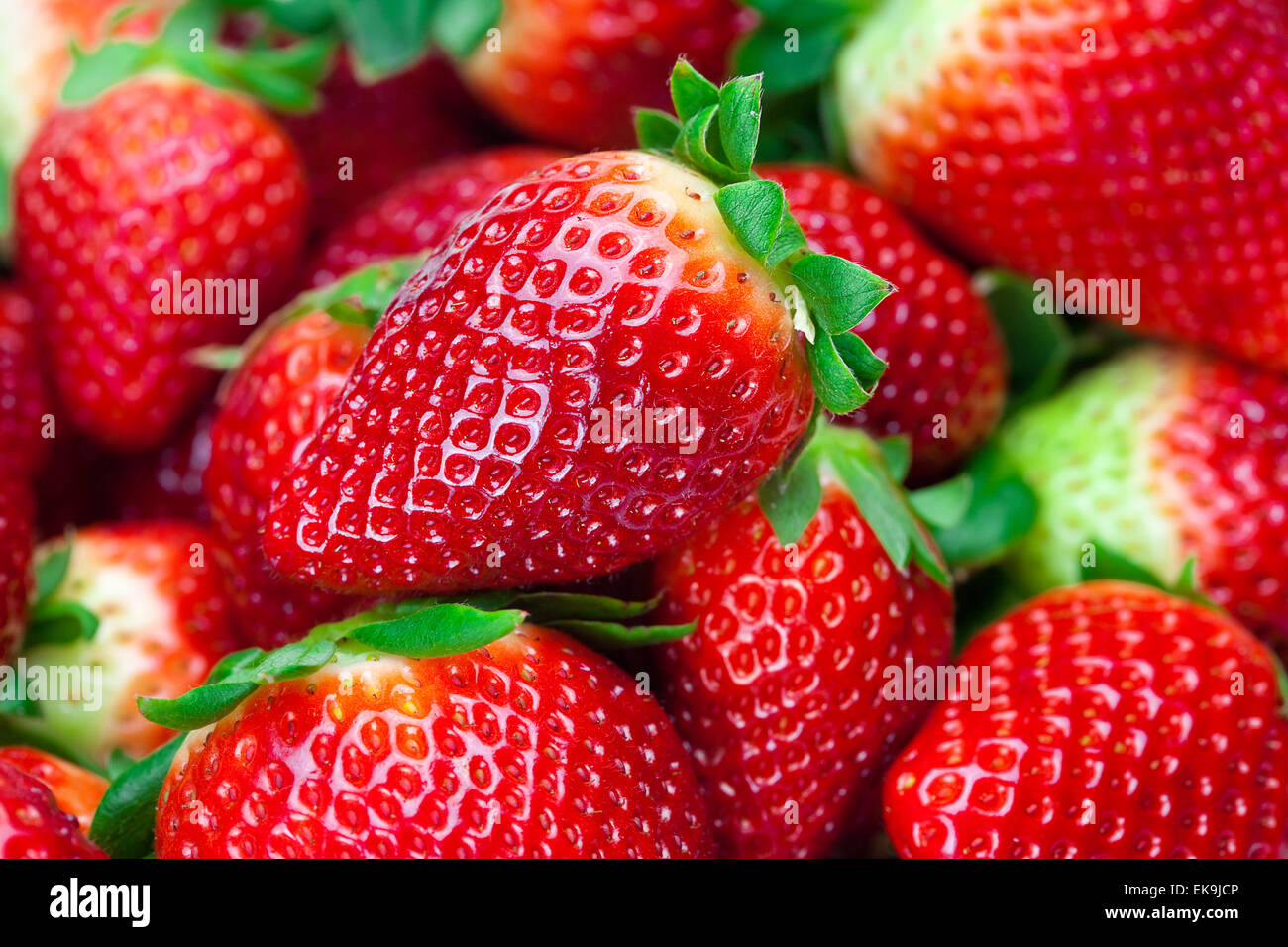 background of red big juicy ripe strawberries Stock Photo - Alamy
