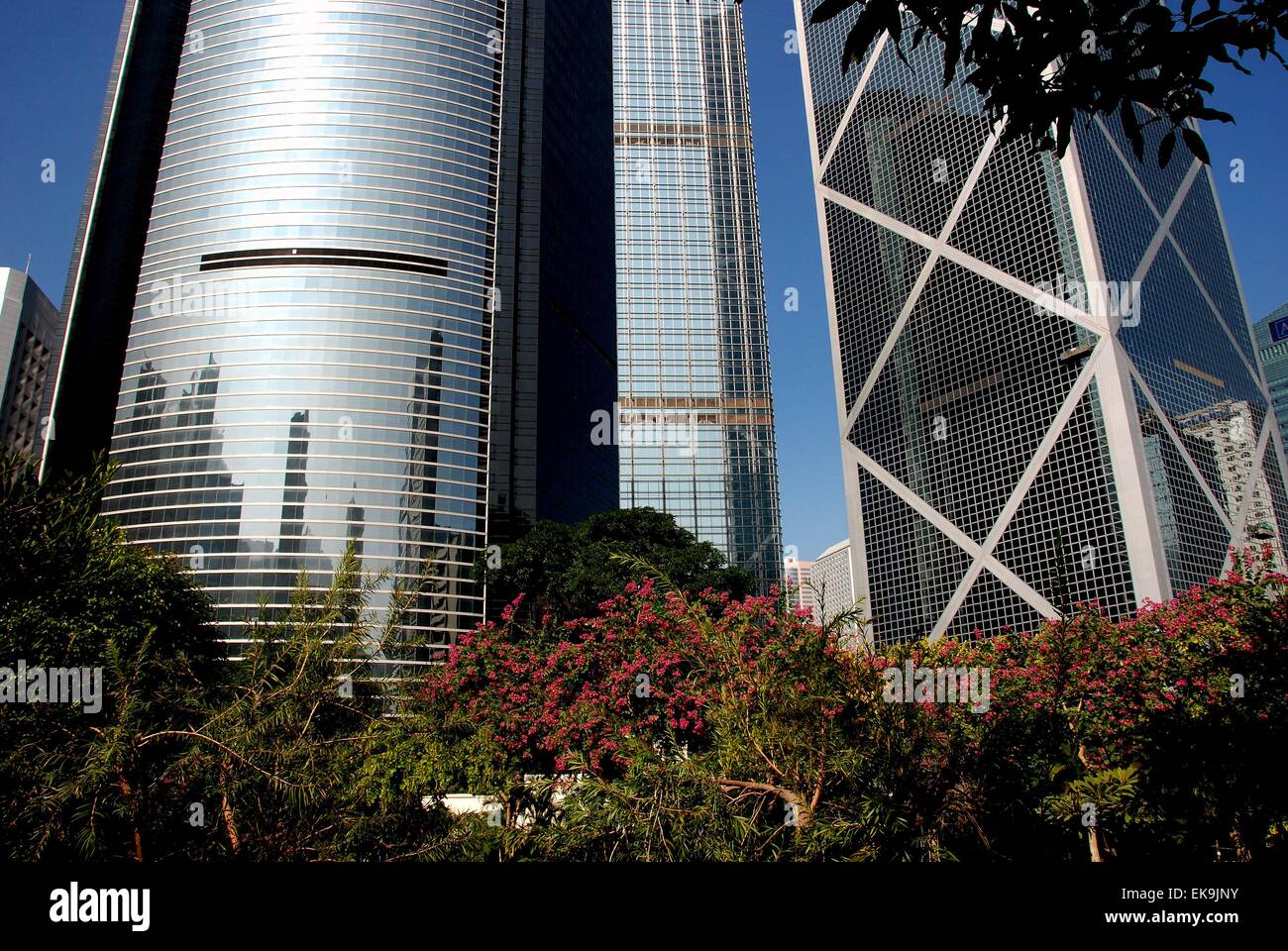 Hong Kong, China:  Left to right - ICBC Bank, Cheung Leung Building, and the Bank of China with purple Bauhinia flowers Stock Photo