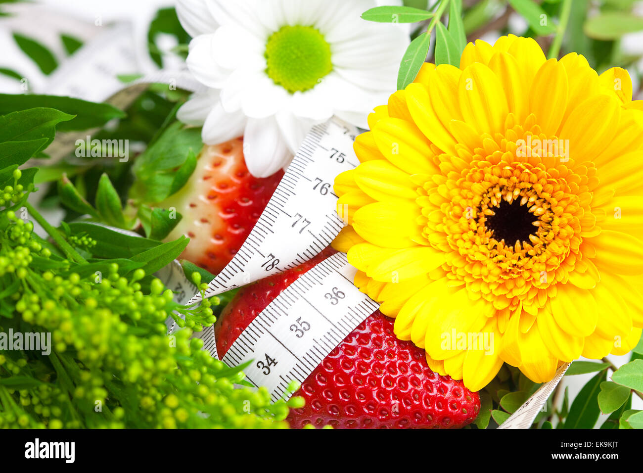 background of red big juicy ripe strawberry and flower Stock Photo - Alamy