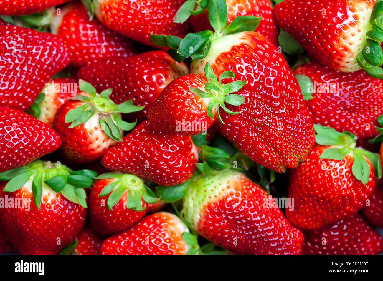 background of red big juicy ripe strawberries Stock Photo - Alamy
