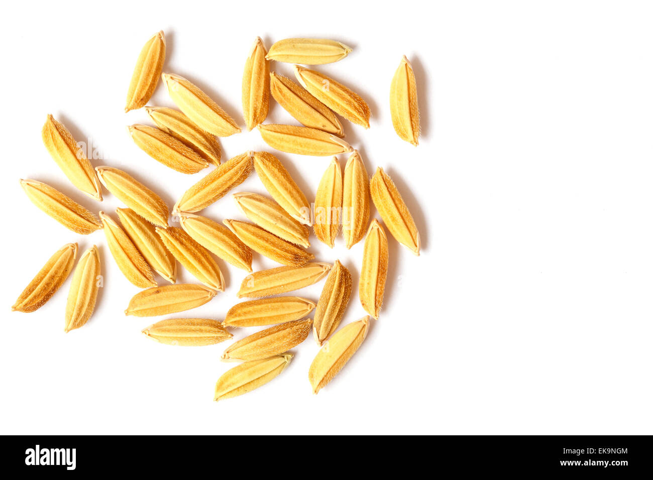 rice grains isolated on white background Stock Photo - Alamy