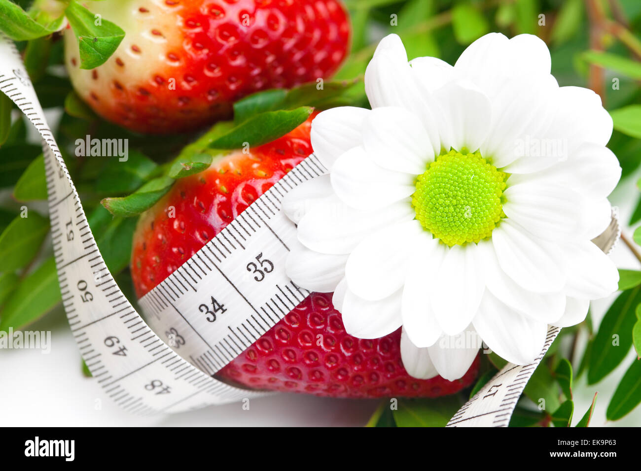 background of red big juicy ripe strawberry and flower Stock Photo - Alamy
