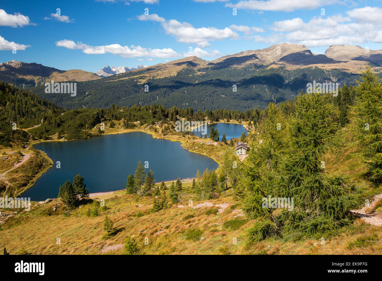 Colbricon Lakes in the Lagorai mountain massif. The Paneveggio-Pale di San Martino Nature Park near Passo Rolle, Trentino, Italian Alps. Stock Photo